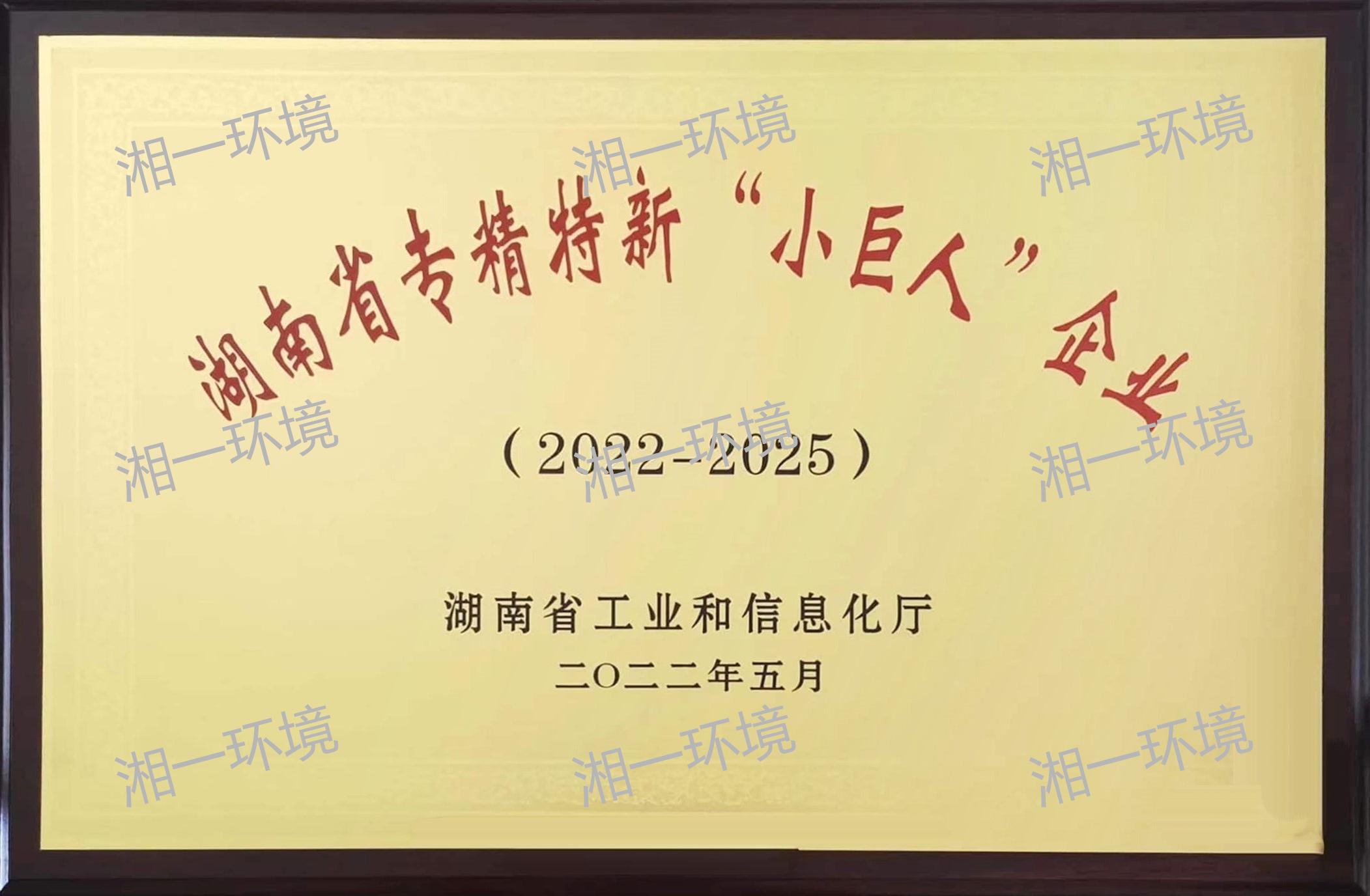 湖南省专精特新“小巨人”企业